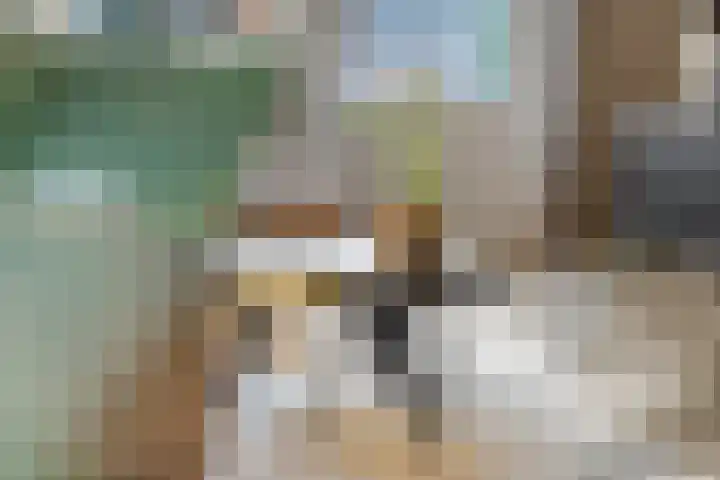 Het Woud 29 Ingen thumbnail 15
