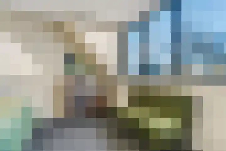 Het Woud 29 Ingen thumbnail 31