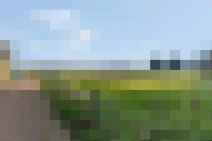 Het Woud 29 Ingen thumbnail 43