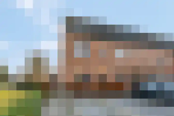 Het Woud 29 Ingen thumbnail 49