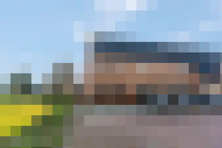 Het Woud 29 Ingen thumbnail 52