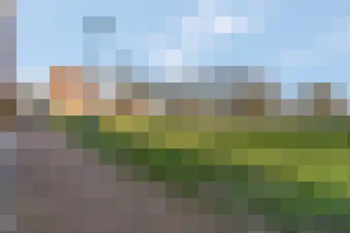 Het Woud 29 Ingen thumbnail 54