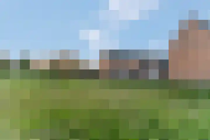 Het Woud 29 Ingen thumbnail 55