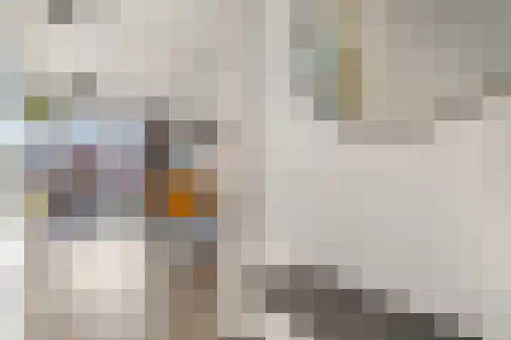 Het Woud 29 Ingen thumbnail 6