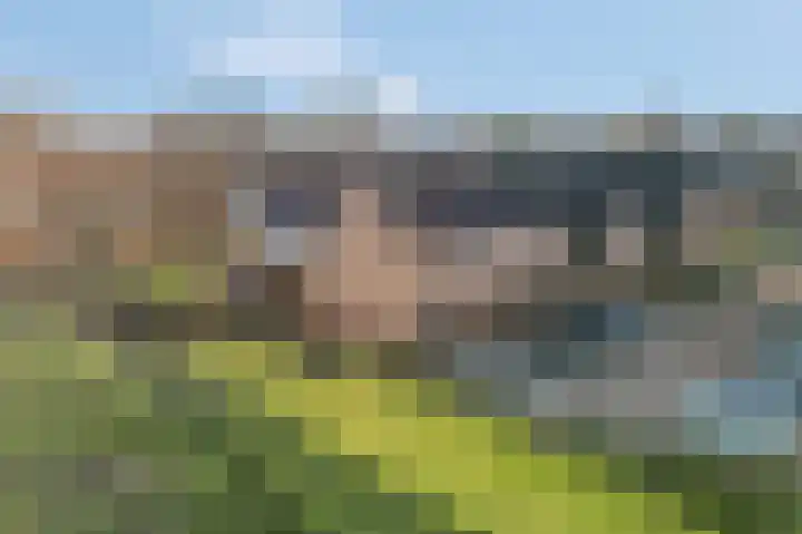 Het Woud 29 Ingen thumbnail 60