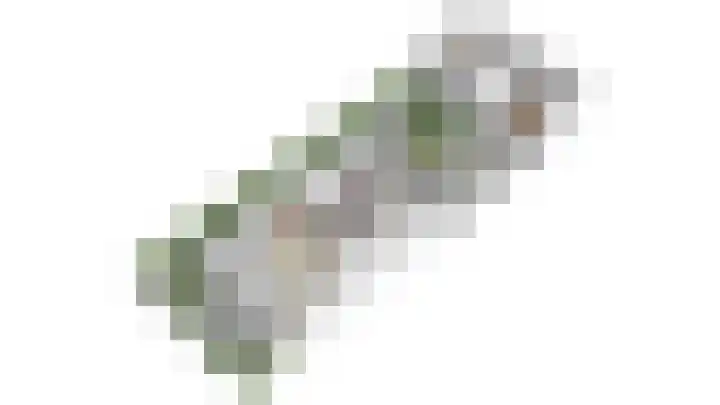 Het Woud 29 Ingen thumbnail 62