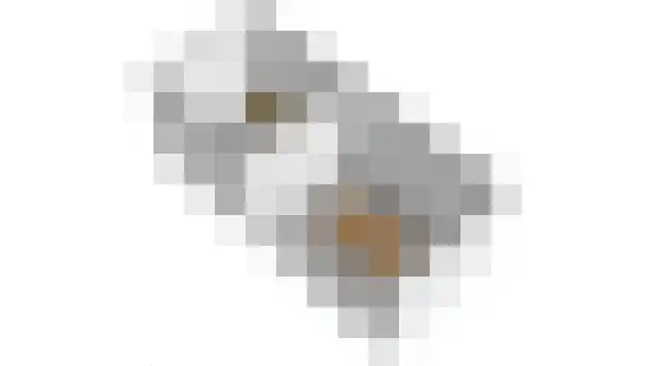 Het Woud 29 Ingen thumbnail 66