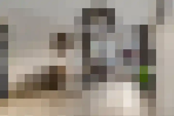 Het Woud 29 Ingen thumbnail 9