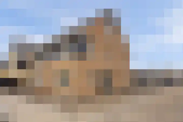 Het Zadel 1 Dronten