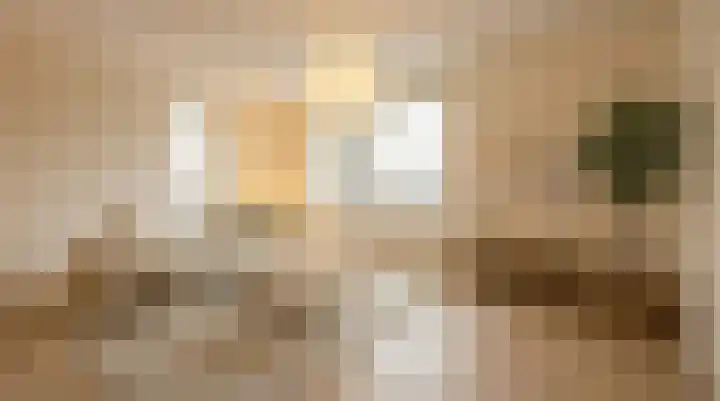 Het Zadel 1 Dronten foto 2