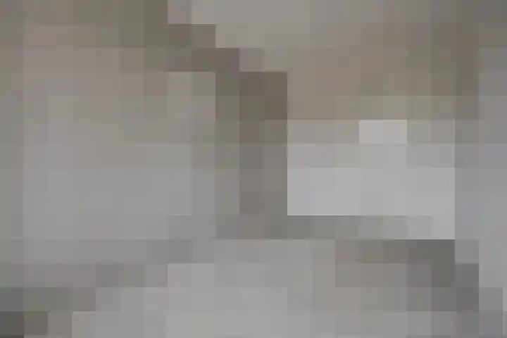Het Zadel 1 Dronten thumbnail 28