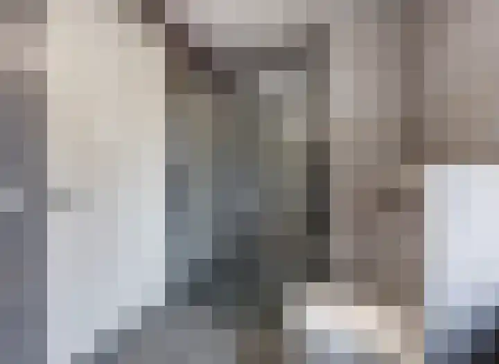 Het Zadel 1 Dronten thumbnail 29