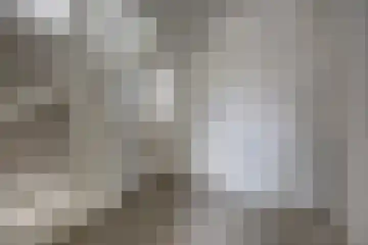 Het Zadel 1 Dronten thumbnail 32