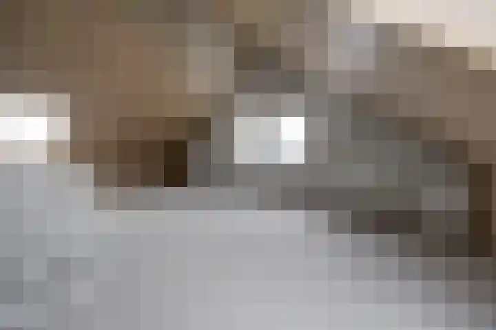 Het Zadel 1 Dronten thumbnail 33