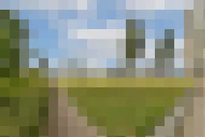 Het Zadel 1 Dronten thumbnail 34