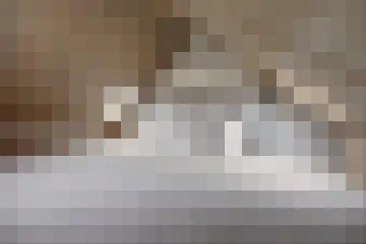 Het Zadel 1 Dronten thumbnail 34