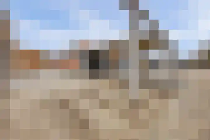 Het Zadel 1 Dronten thumbnail 37