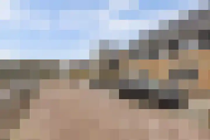 Het Zadel 1 Dronten thumbnail 42