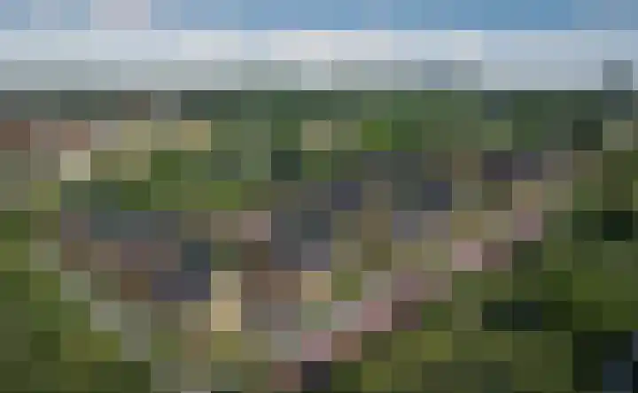 Het Zadel 1 Dronten thumbnail 45