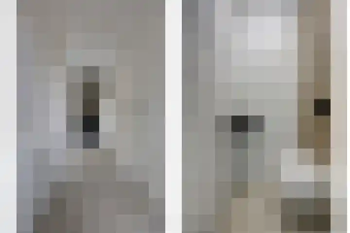 Het Zadel 1 Dronten thumbnail 7