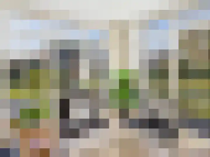 Het Zand 59 Koewacht thumbnail 10
