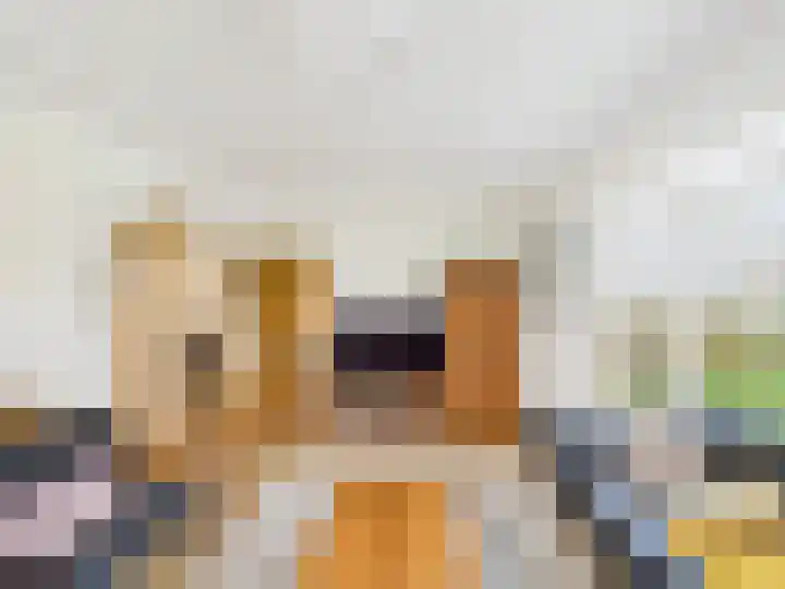 Het Zand 59 Koewacht thumbnail 14