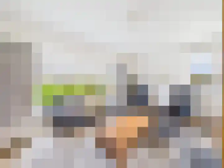 Het Zand 59 Koewacht thumbnail 15