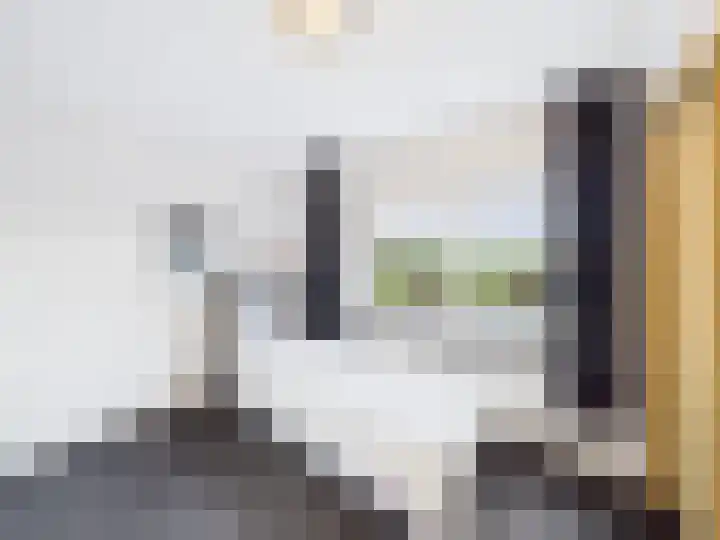 Het Zand 59 Koewacht thumbnail 25