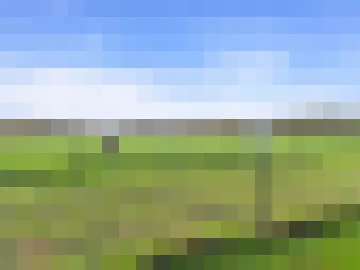 Het Zand 59 Koewacht thumbnail 49