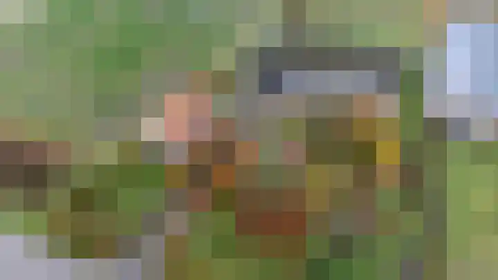 Het Zand 59 Koewacht thumbnail 50