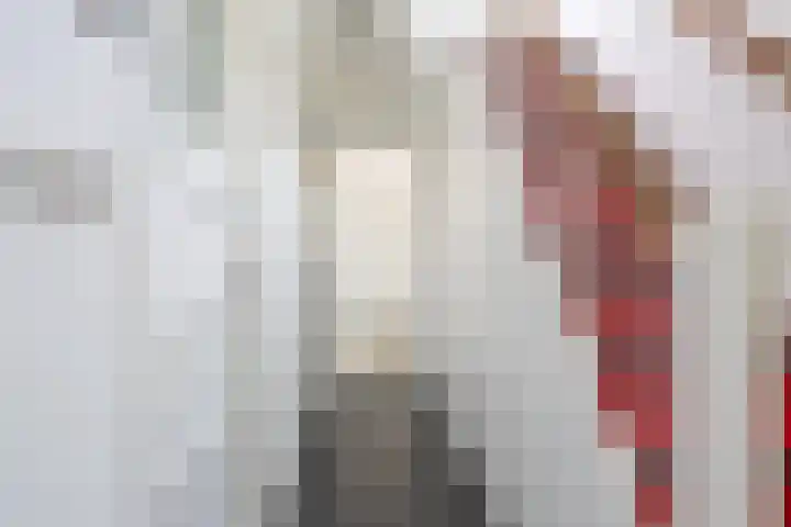 Het Zevenhuizen 10 Heiloo thumbnail 12