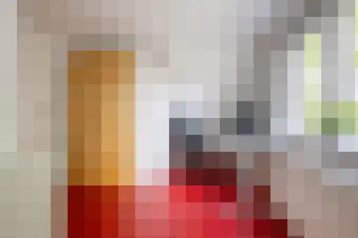 Het Zevenhuizen 10 Heiloo thumbnail 21