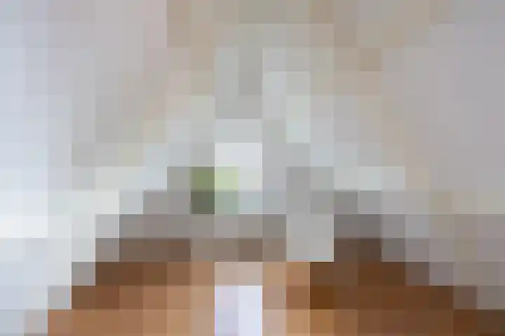 Het Zevenhuizen 10 Heiloo thumbnail 25