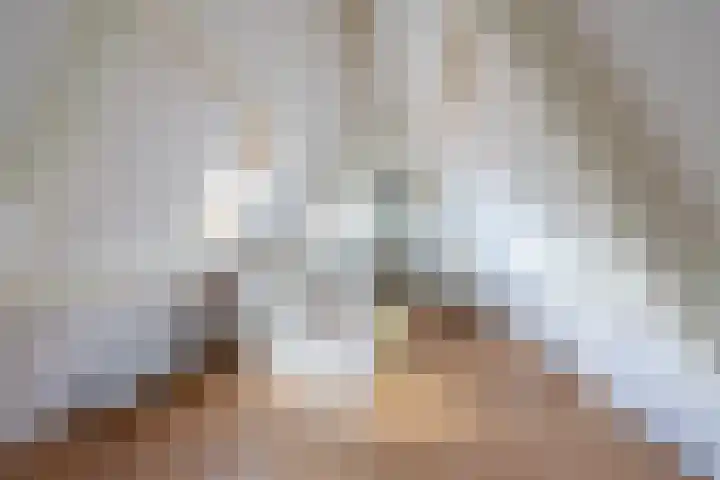 Het Zevenhuizen 10 Heiloo thumbnail 26