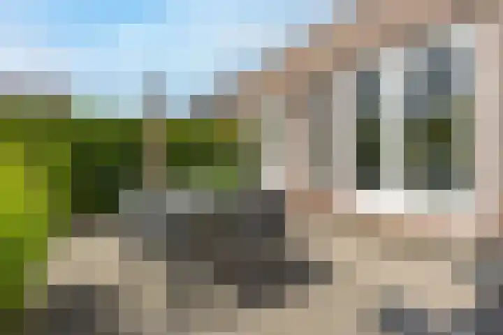 Het Zevenhuizen 10 Heiloo thumbnail 27