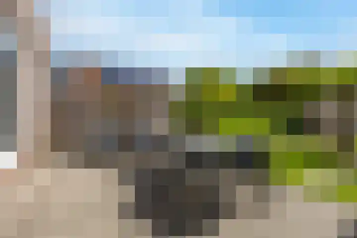 Het Zevenhuizen 10 Heiloo thumbnail 28