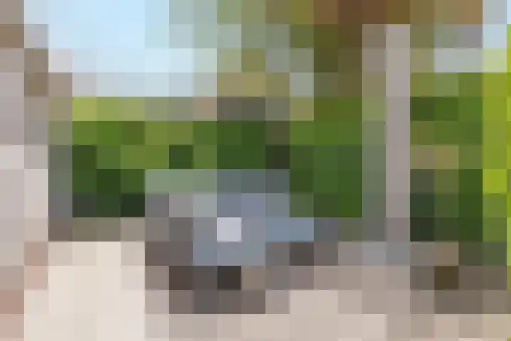 Het Zevenhuizen 10 Heiloo thumbnail 31