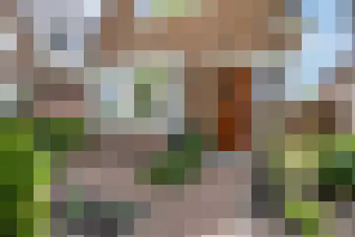Het Zevenhuizen 10 Heiloo thumbnail 33