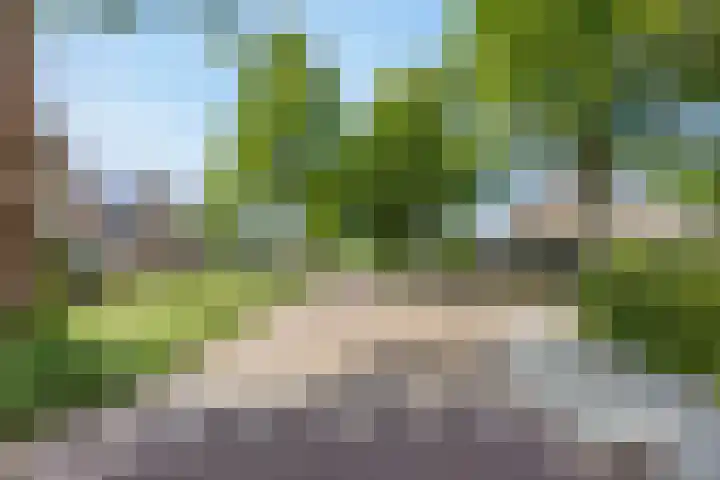Het Zevenhuizen 10 Heiloo thumbnail 34