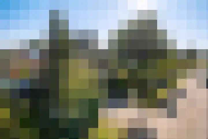 Het Zool 41 Leeuwarden thumbnail 11