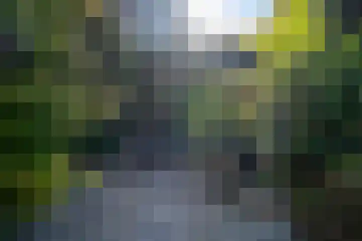 Het Zool 41 Leeuwarden thumbnail 13