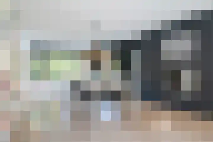 Het Zool 41 Leeuwarden thumbnail 17