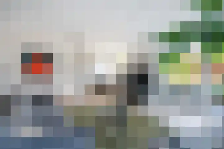 Het Zool 41 Leeuwarden thumbnail 21