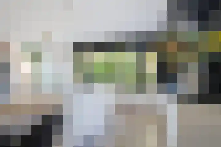 Het Zool 41 Leeuwarden thumbnail 22