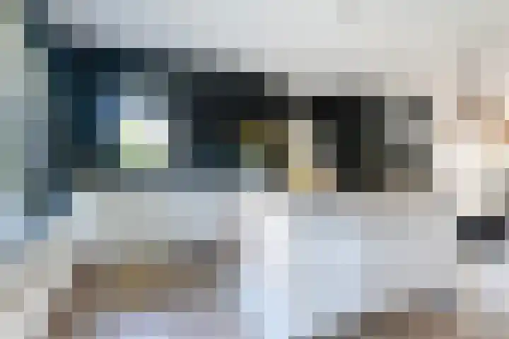 Het Zool 41 Leeuwarden thumbnail 25