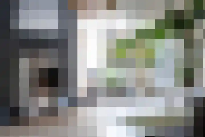Het Zool 41 Leeuwarden thumbnail 27