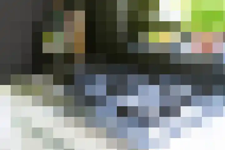 Het Zool 41 Leeuwarden thumbnail 28