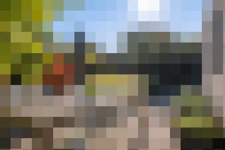Het Zool 41 Leeuwarden thumbnail 32