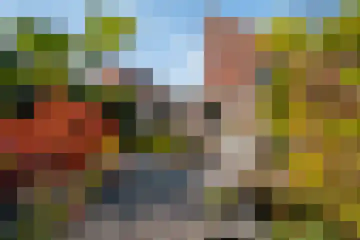 Het Zool 41 Leeuwarden thumbnail 37