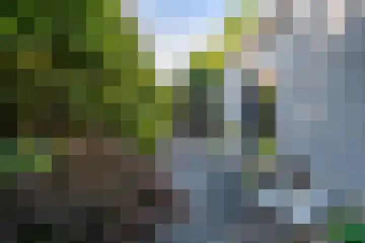 Het Zool 41 Leeuwarden thumbnail 38